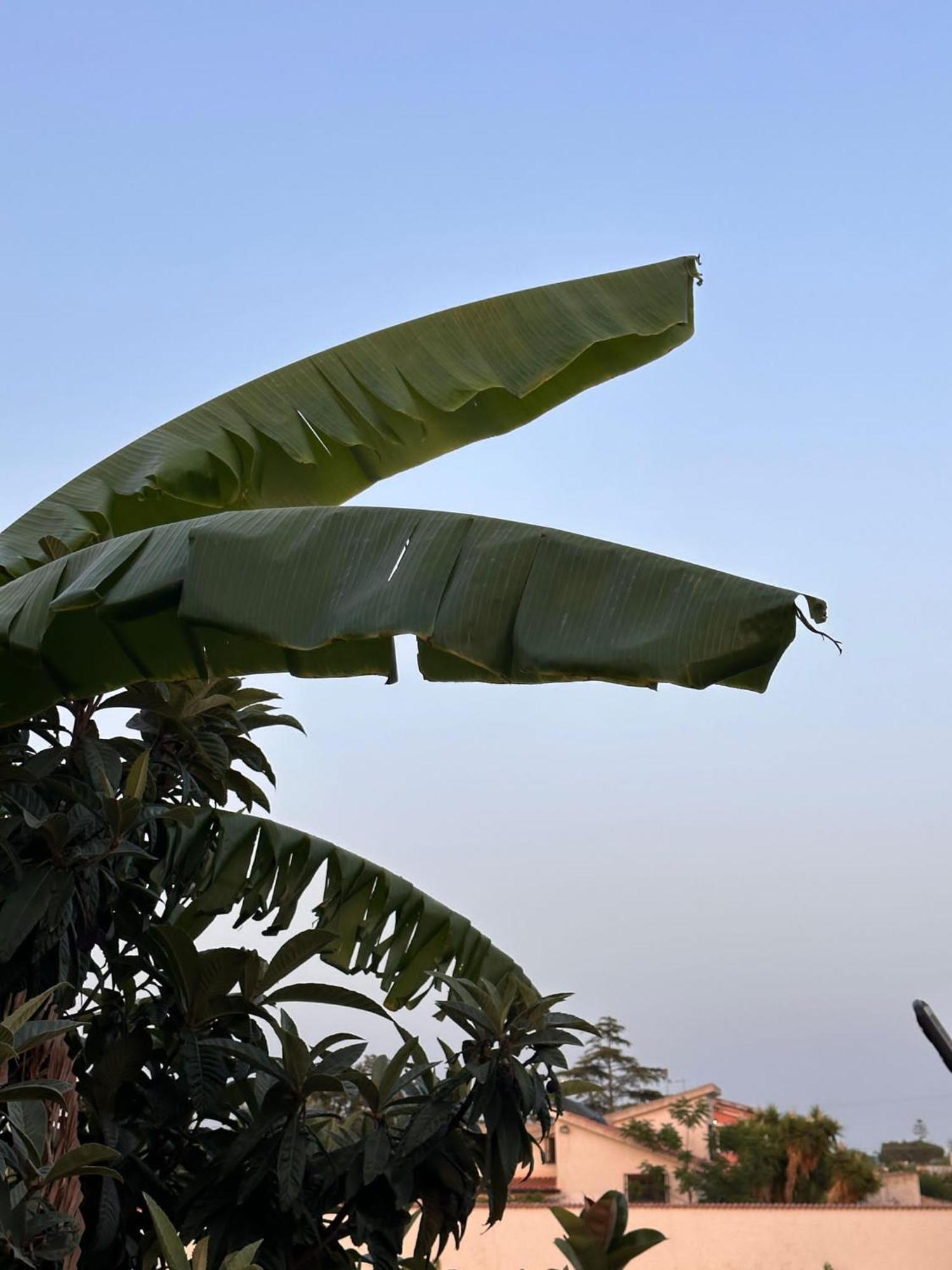 Villa Himera Fontane Bianche Esterno foto